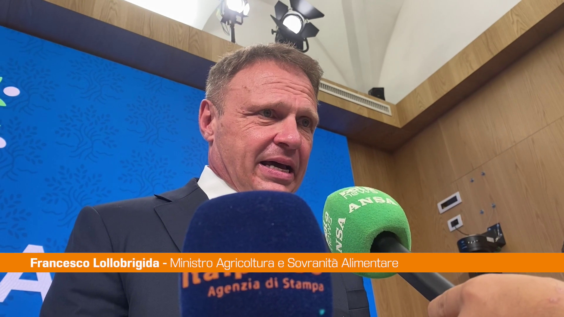 Granchio blu,Lollobrigida 