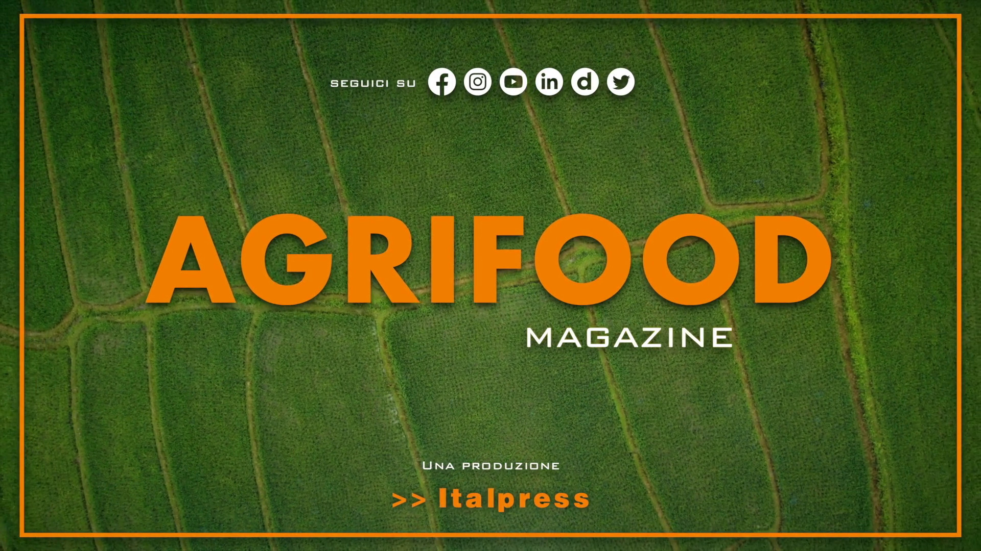 Agrifood Magazine - 28/6/2023