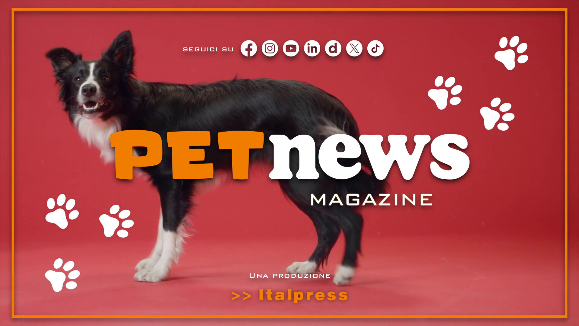 PetNews Magazine - 25/2/2025