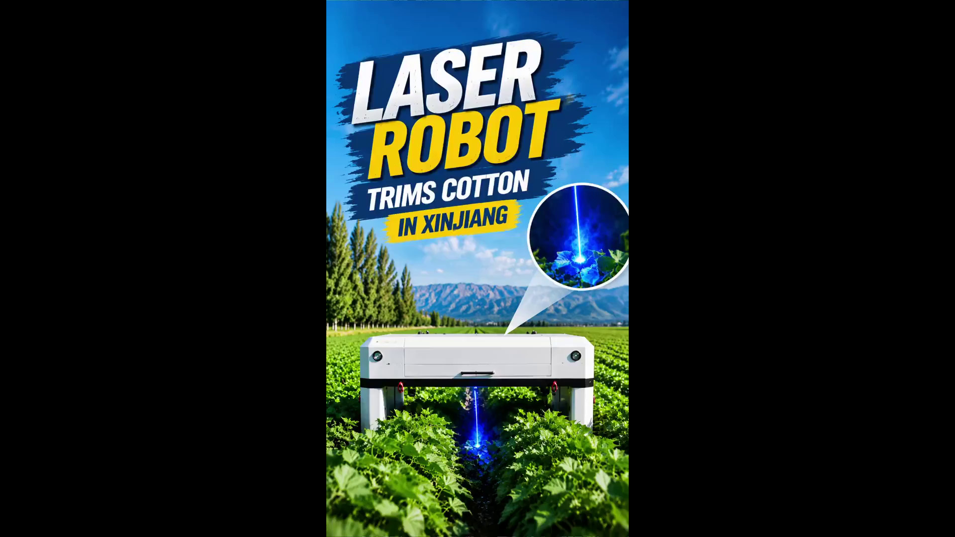 Cina: robot laser pota le piante di cotone nello Xinjiang