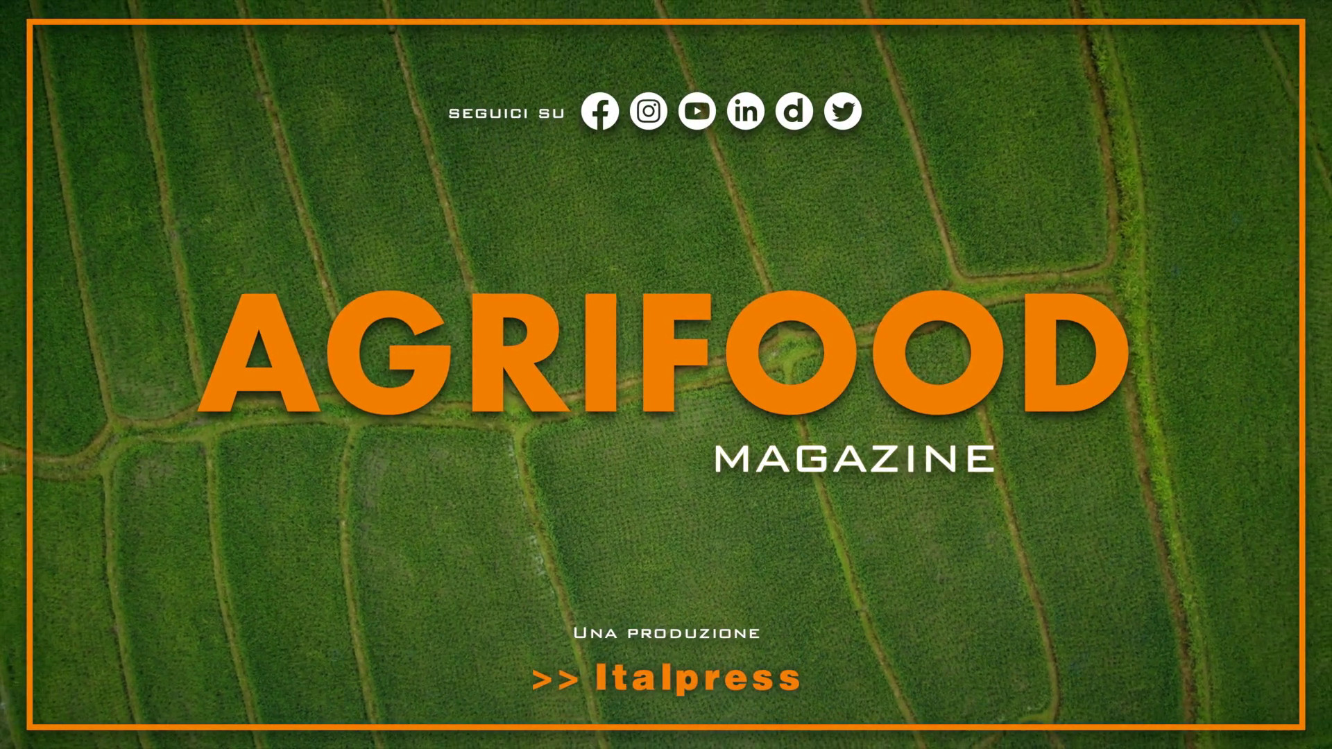 Agrifood Magazine - 14/6/2023