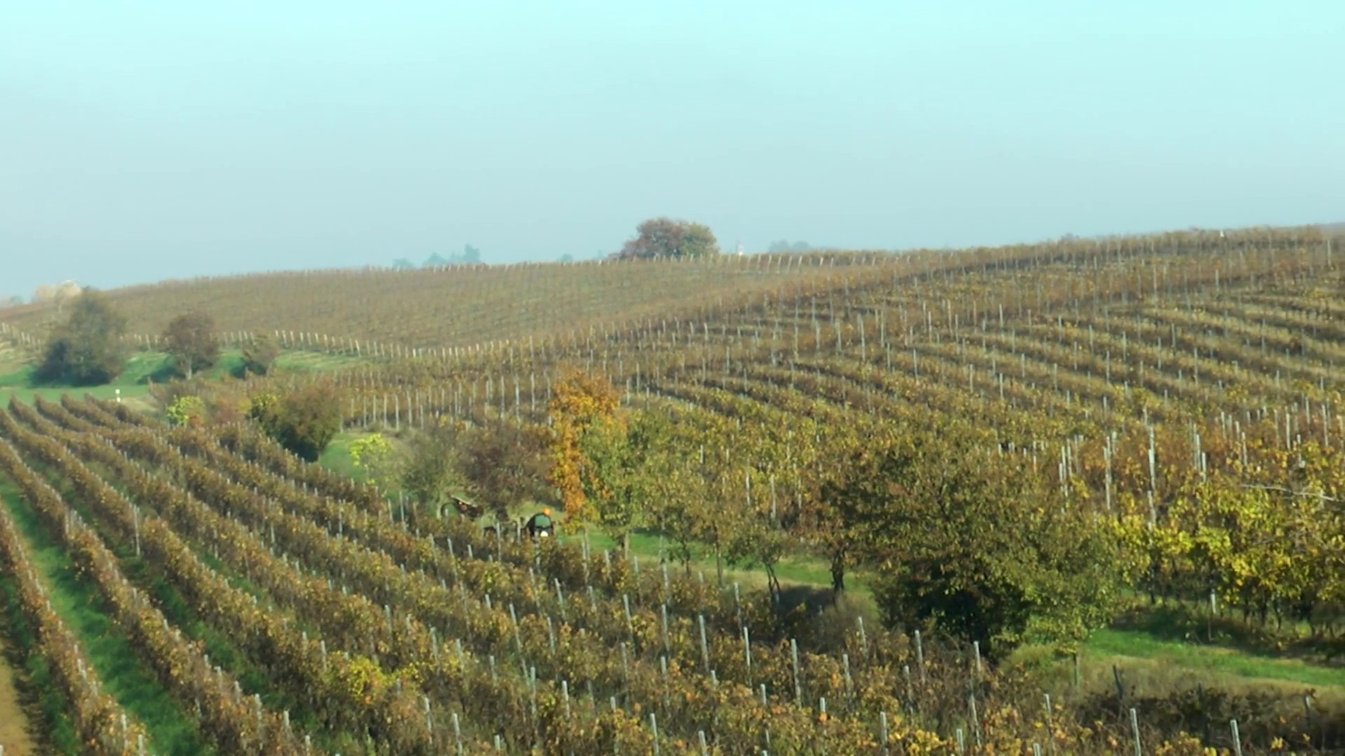 Colline e Oltre progetta la promozione dell'Oltrepò Pavese