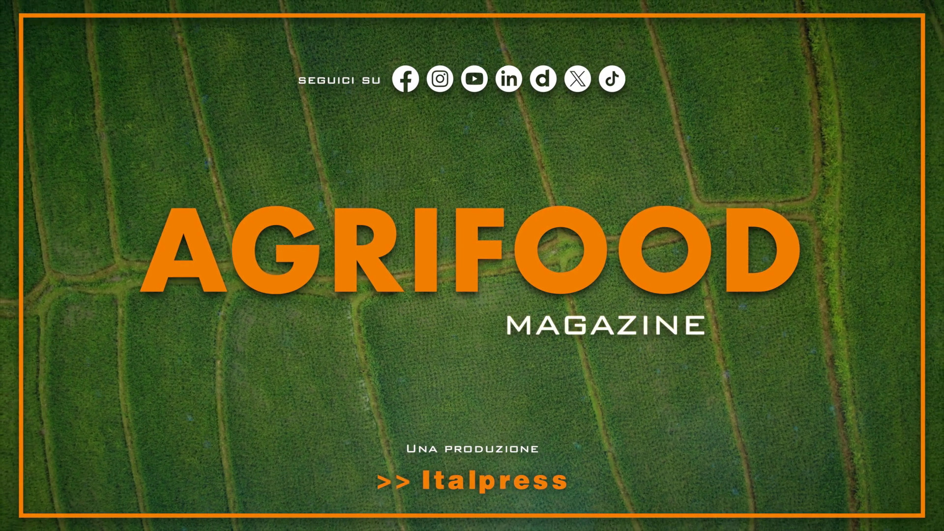 Agrifood Magazine – 3/7/2024