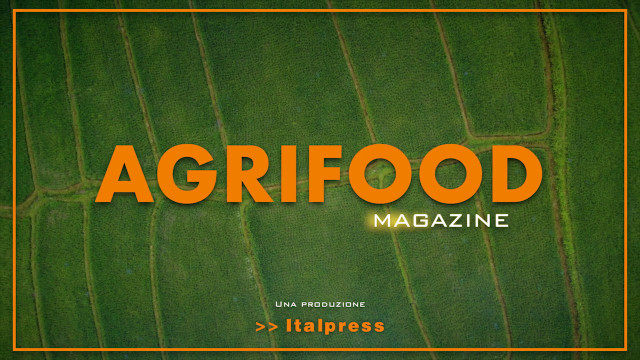 Agrifood Magazine - 23/3/2022