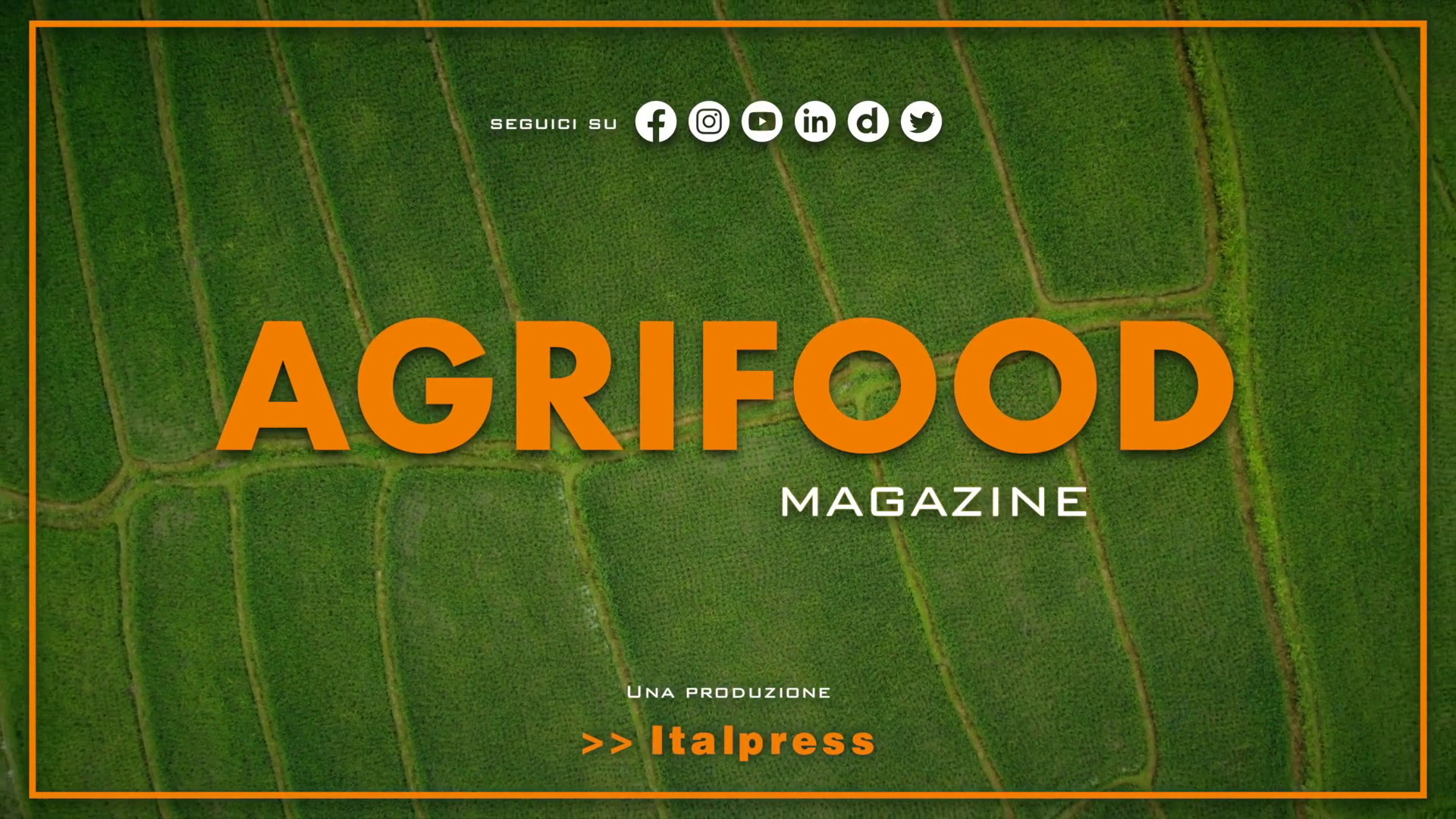 Agrifood Magazine - 26/7/2023