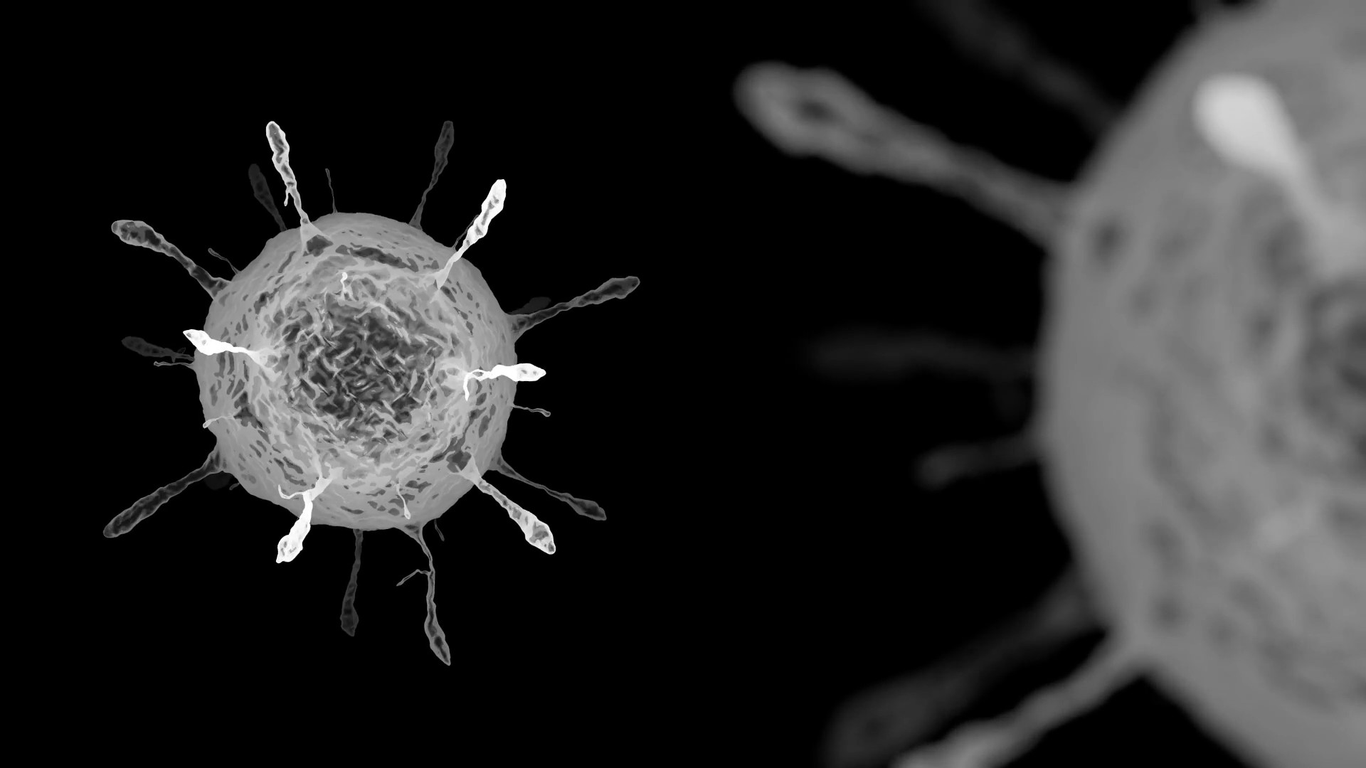 Uno studio definisce l'intervallo ottimale tra le dosi vaccinali