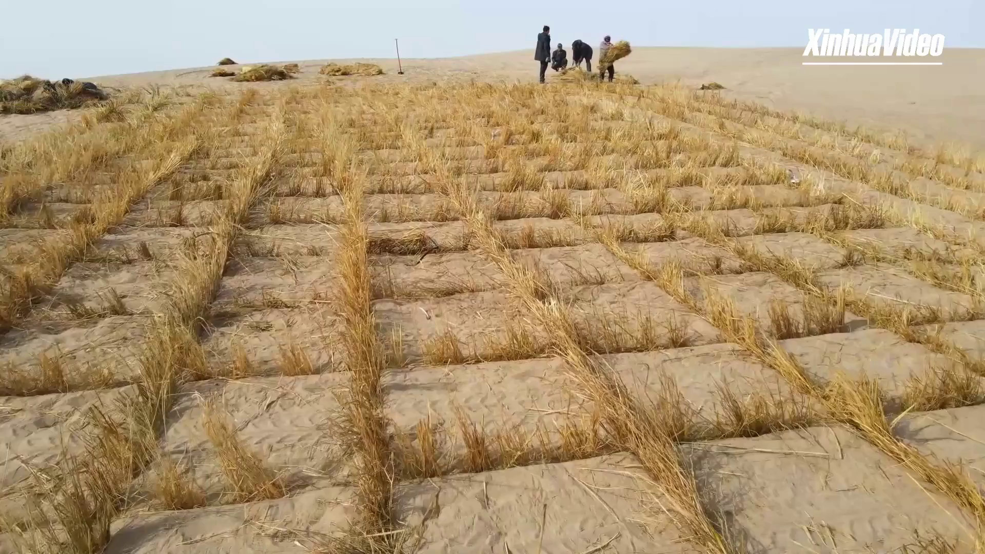 Tecnologia contro desertificazione, la storia di una volontaria francese in Cina
