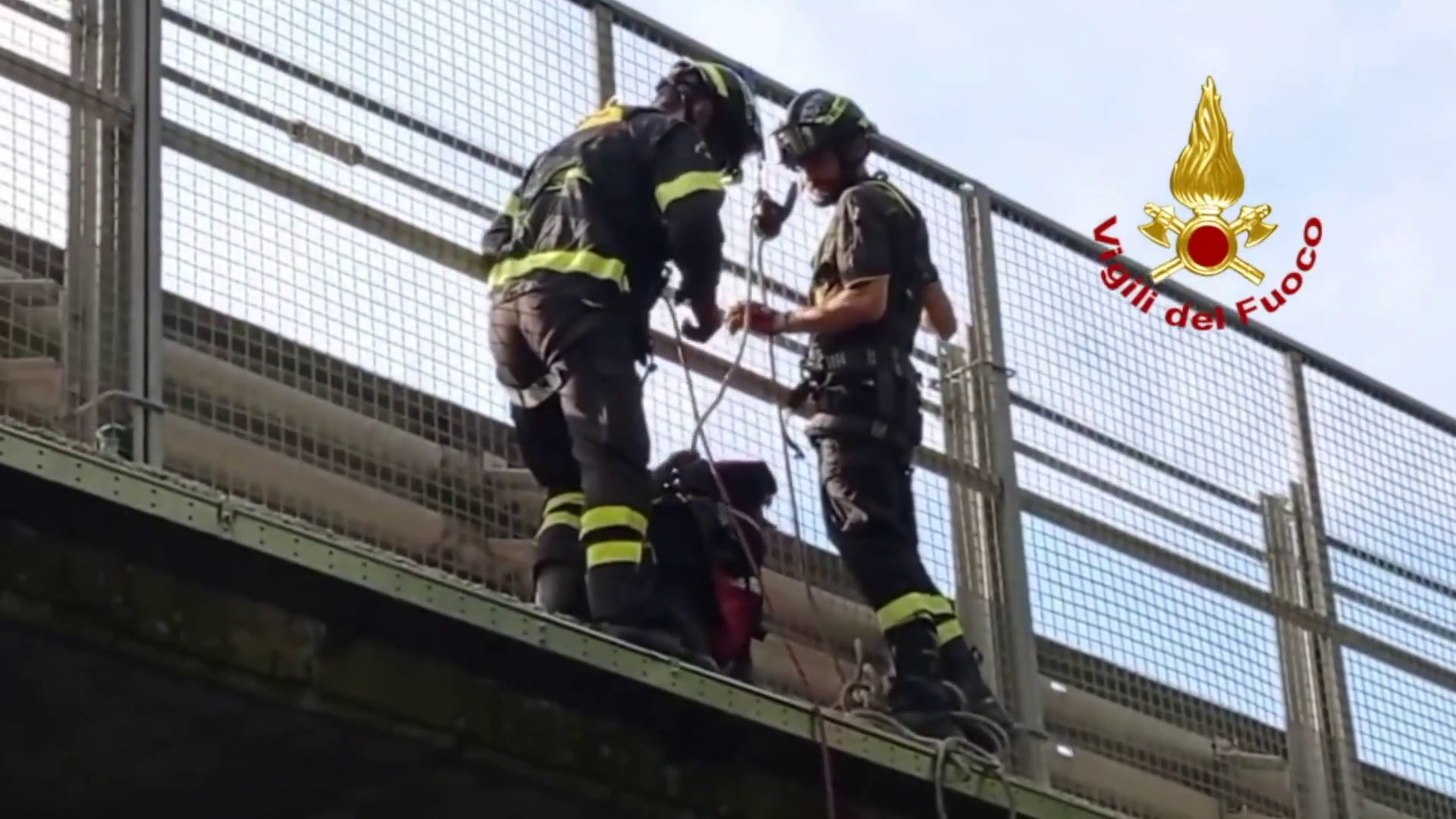 Cane bloccato su un cavalcavia della E45, salvato dai vigili del fuoco