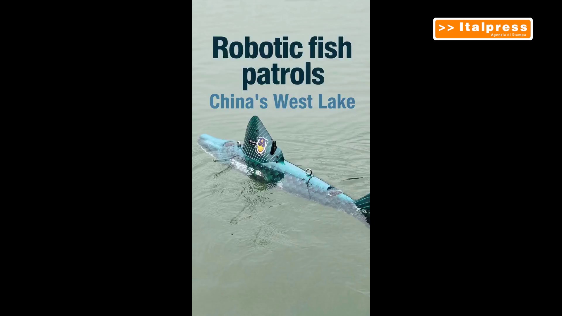 Cina, un pesce robot 