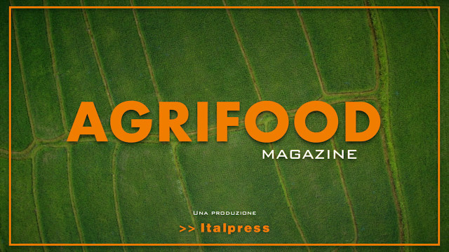 Agrifood Magazine - 6/4/2022