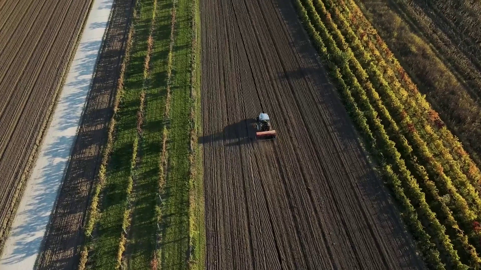 Agroalimentare sempre più attrattivo per i giovani