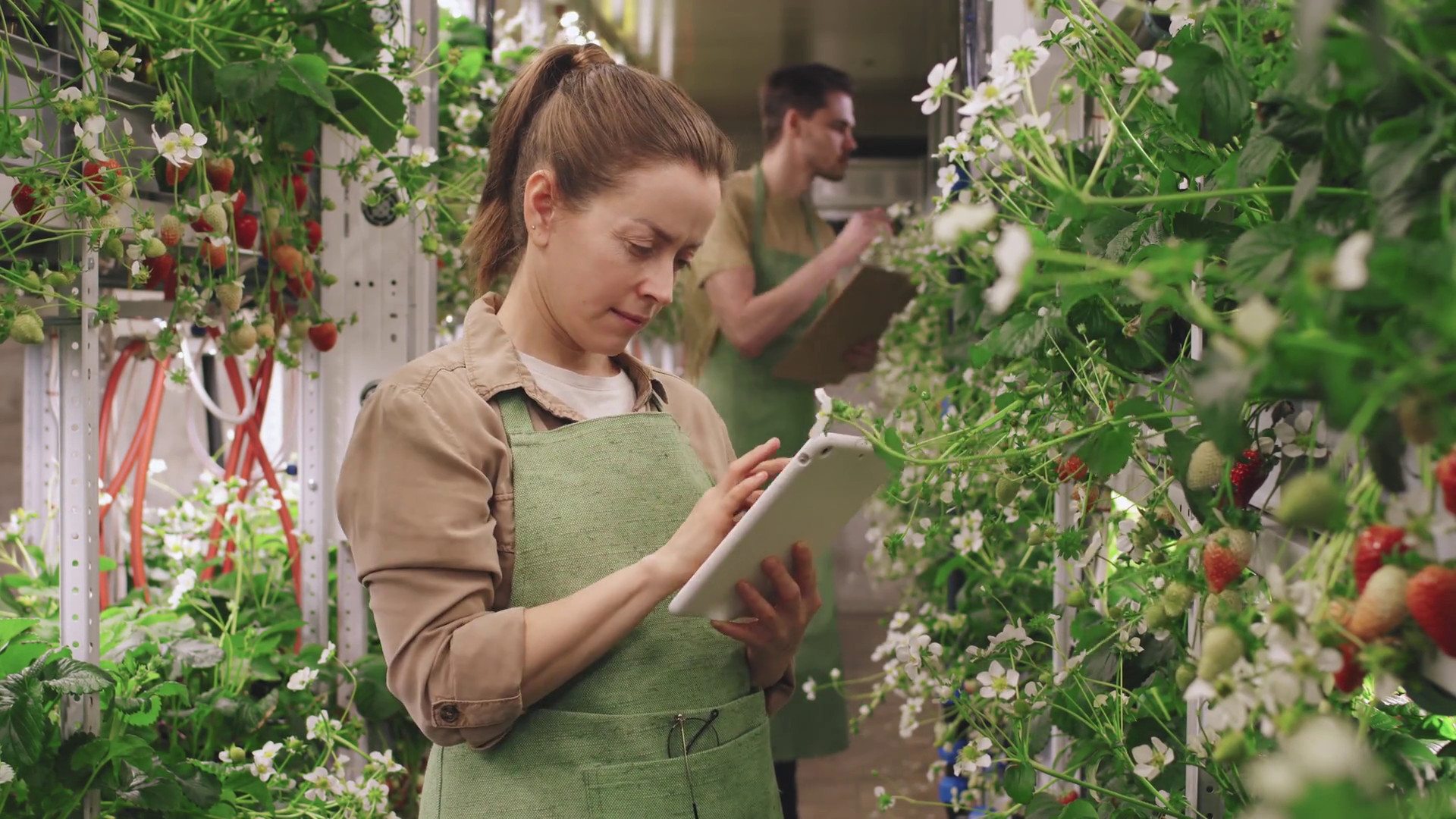 100 milioni per l'agricoltura