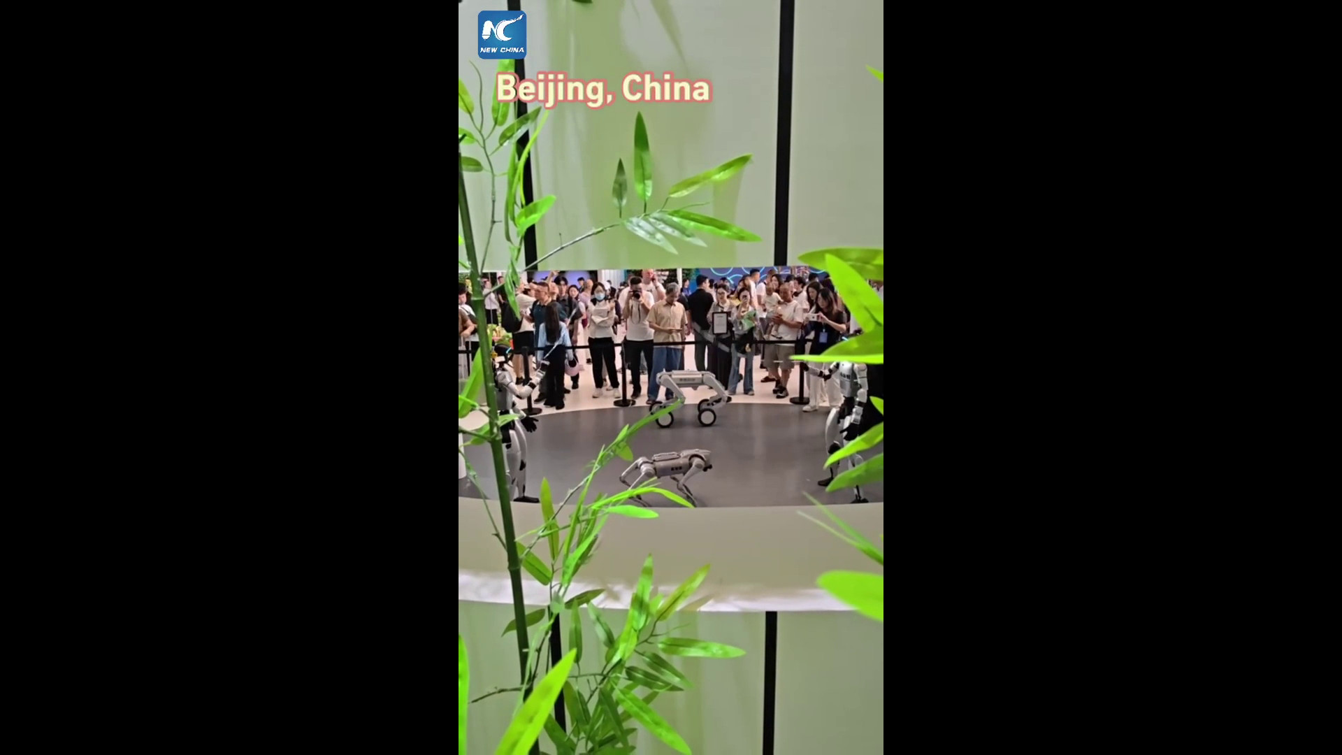 Cina, robot mostrano abilità atletiche alla World Robot Conference 2026