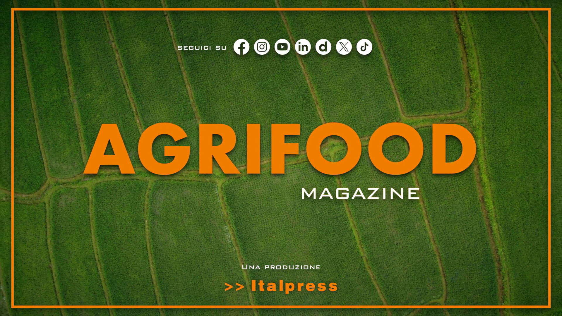 Agrifood Magazine - 2/10/2024