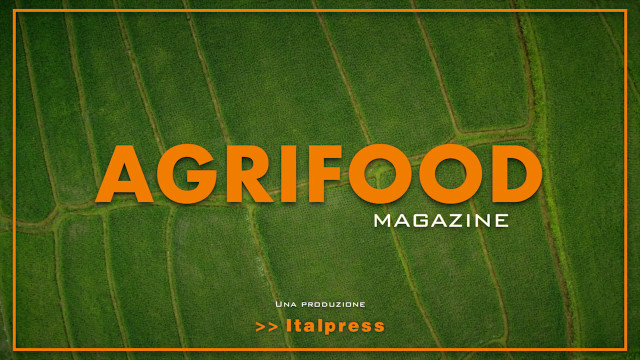 Agrifood Magazine - 20/04/2021