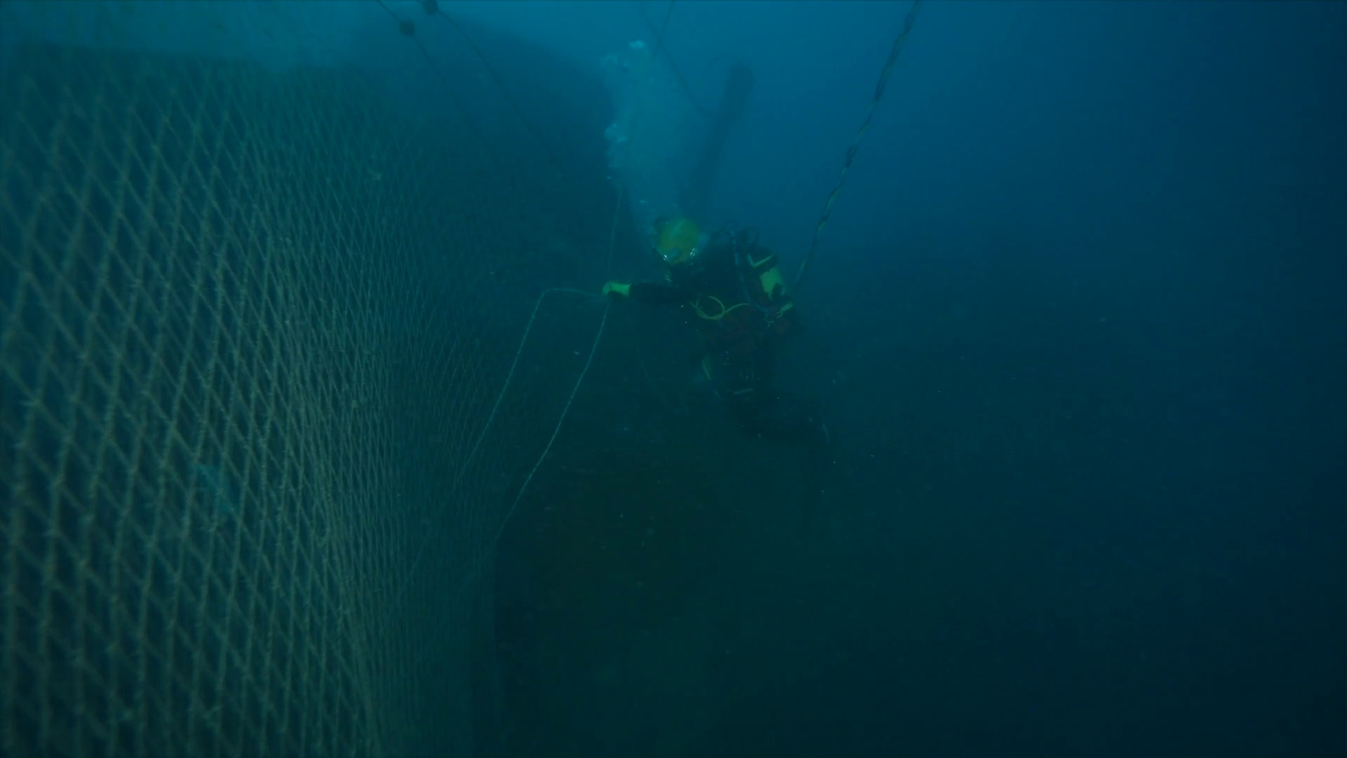 Dal mare all’energia, Green Plasma trasforma le reti fantasma in risorsa