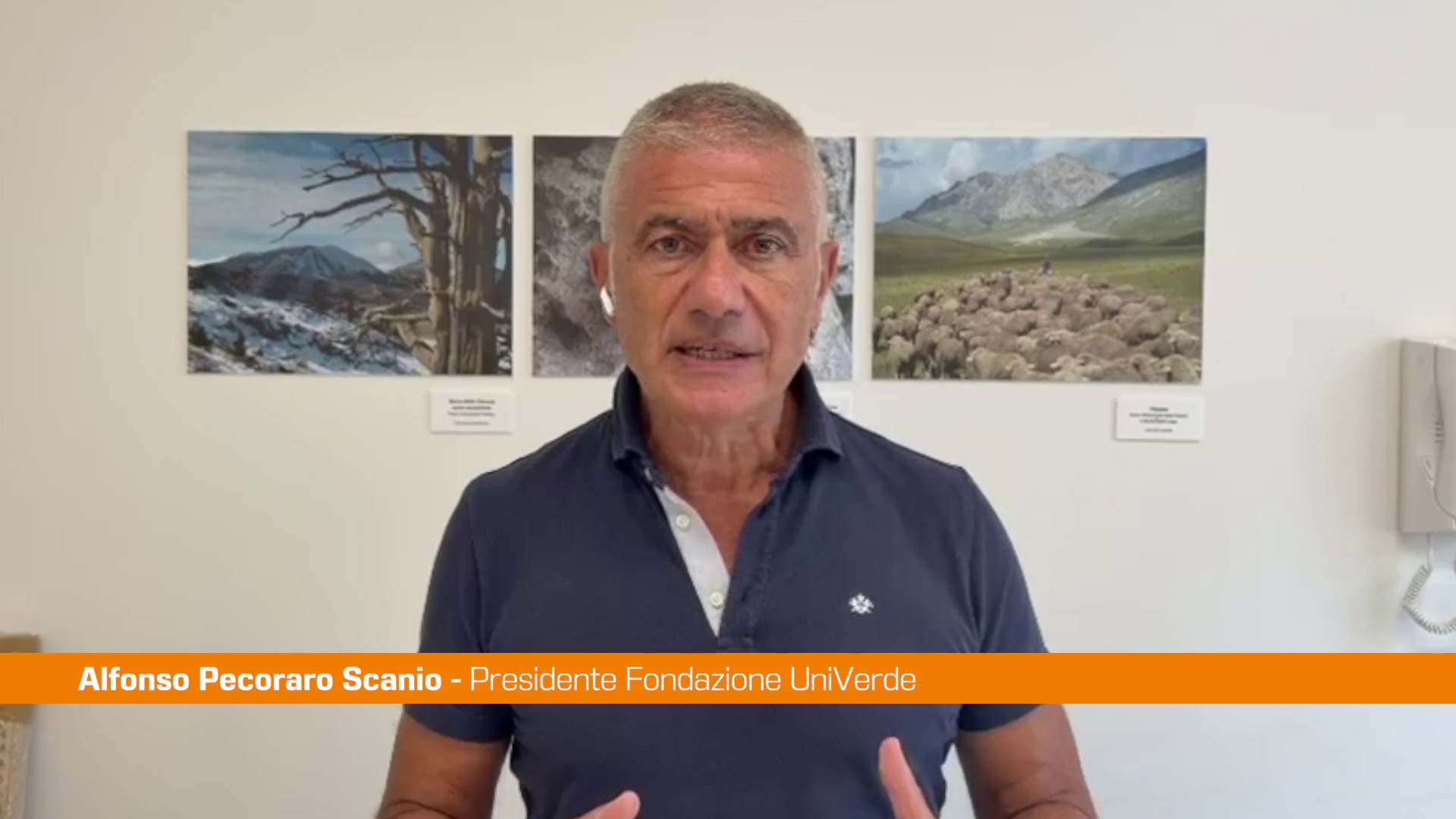 Pecoraro Scanio 