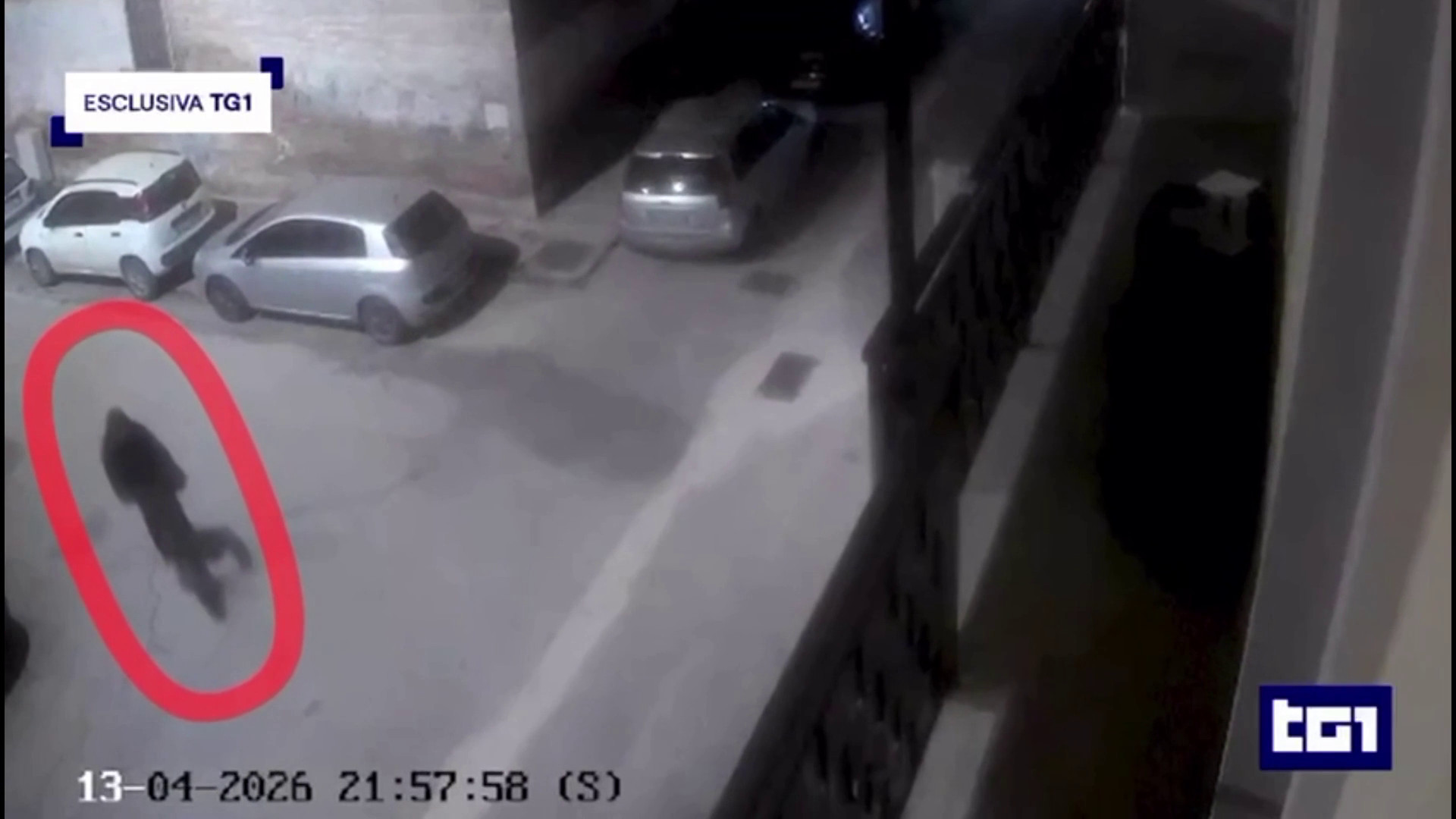 Foggia, omicidio personal trainer: al Tg1 il video del presunto killer