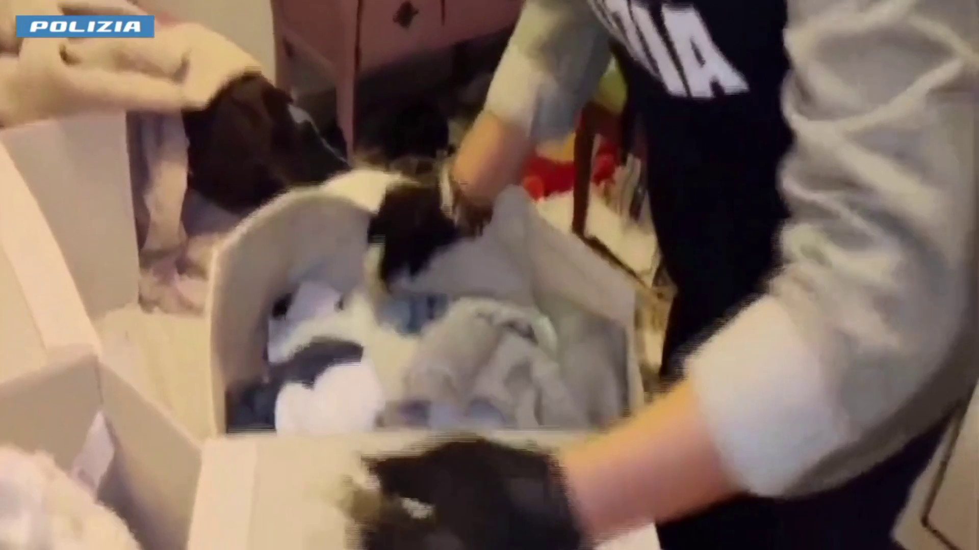 21 misure cautelari a Firenze per traffico e spaccio di droga