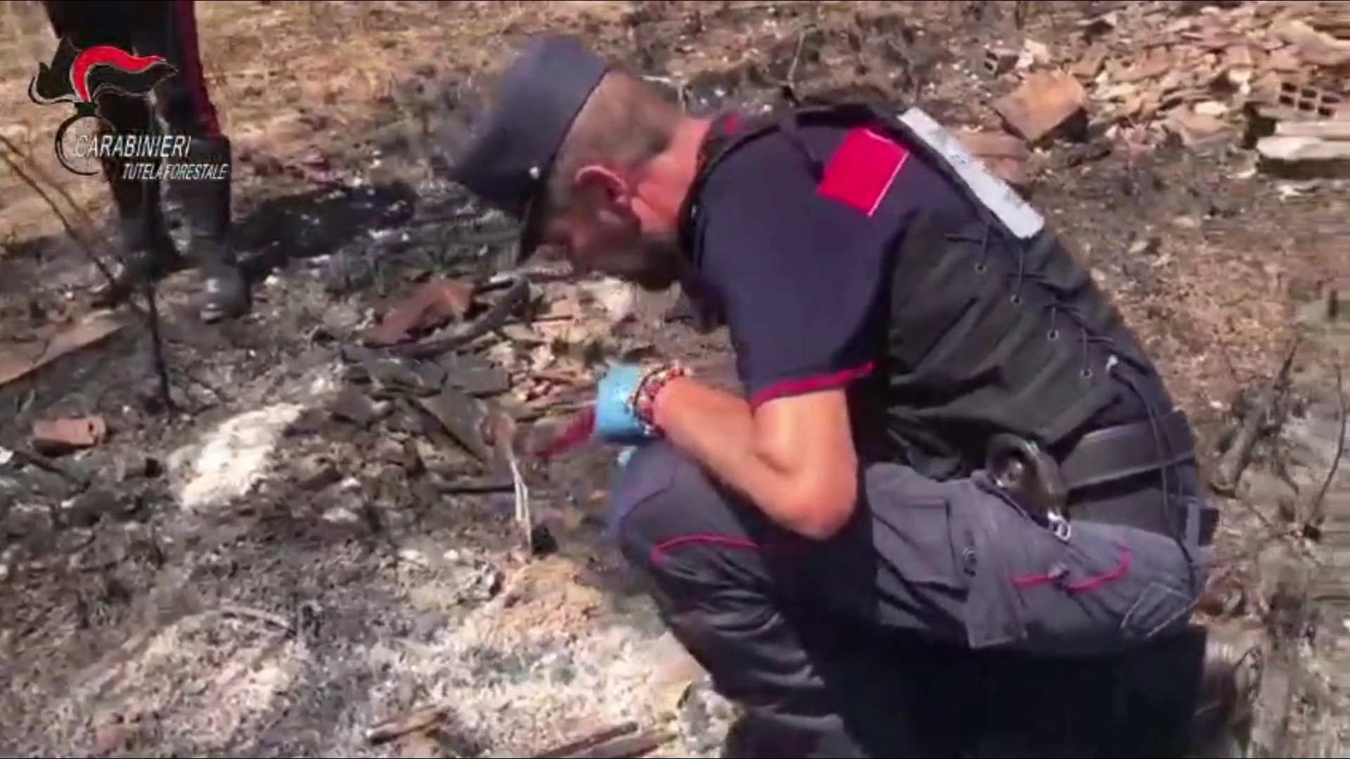 Appicca il fuoco vicino a un bosco a Morano Calabro, 56enne arrestato