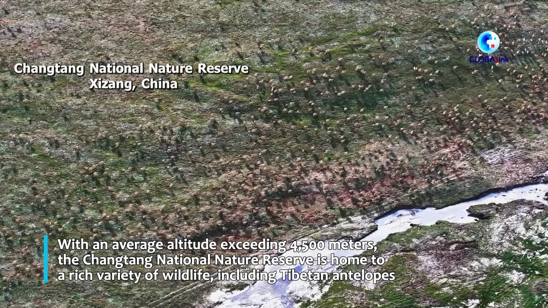 Cina: i ranger proteggono la fauna selvatica