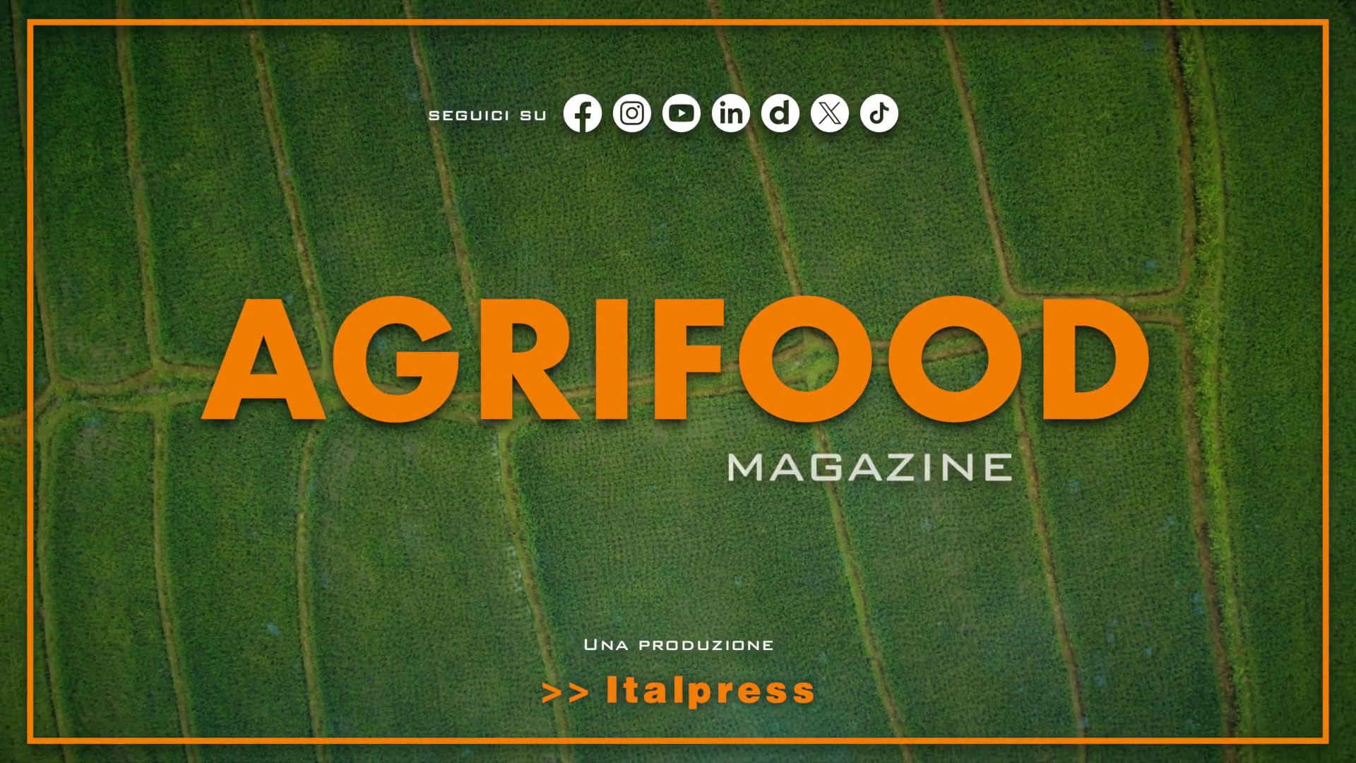 Agrifood Magazine - 20/8/2025