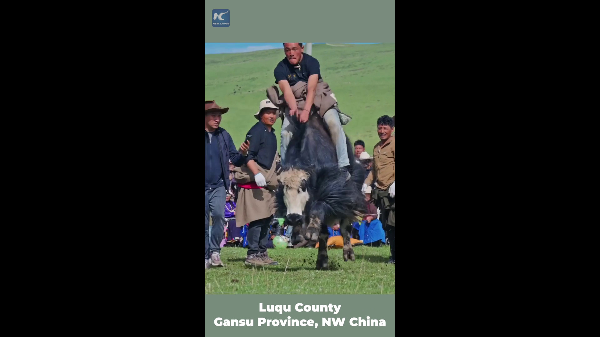 Cina, una spettacolare sfida con gli yak nelle praterie del Gansu