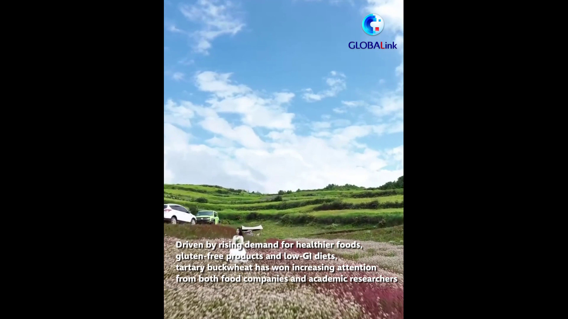 Cina, esperti globali sul grano saraceno tartaro nel Sichuan