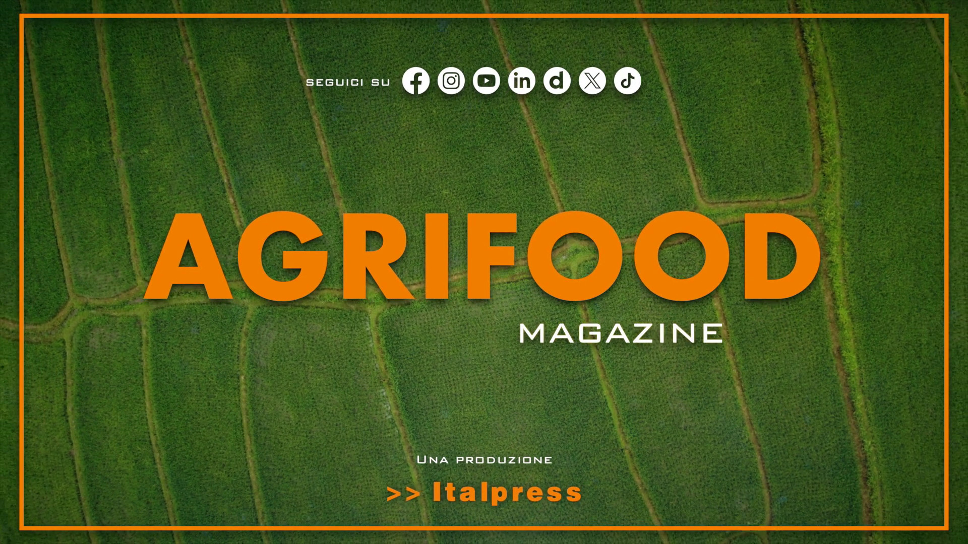 Agrifood Magazine – 30/10/2024