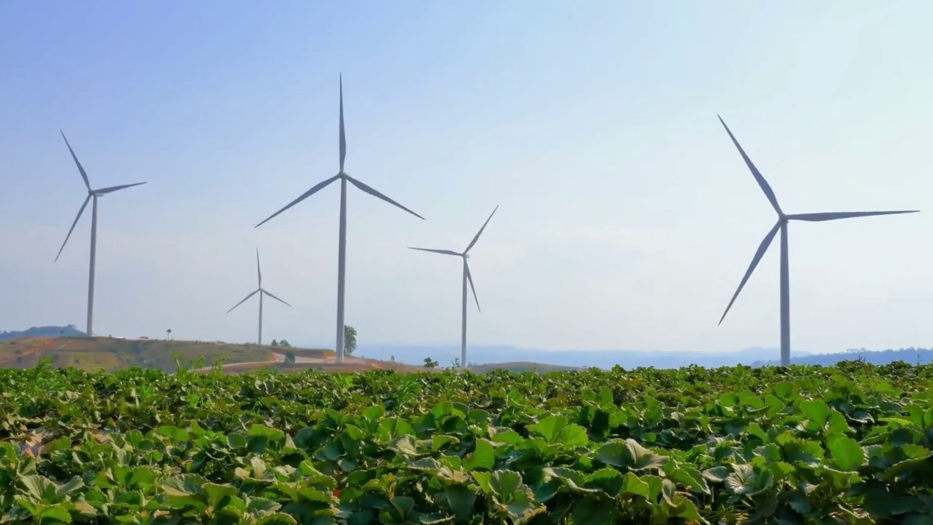 Nasce il Consiglio europeo per l’agricoltura e l’alimentazione