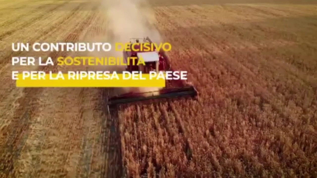 Agricoltura sostenibile, aumenta l’impegno delle imprese