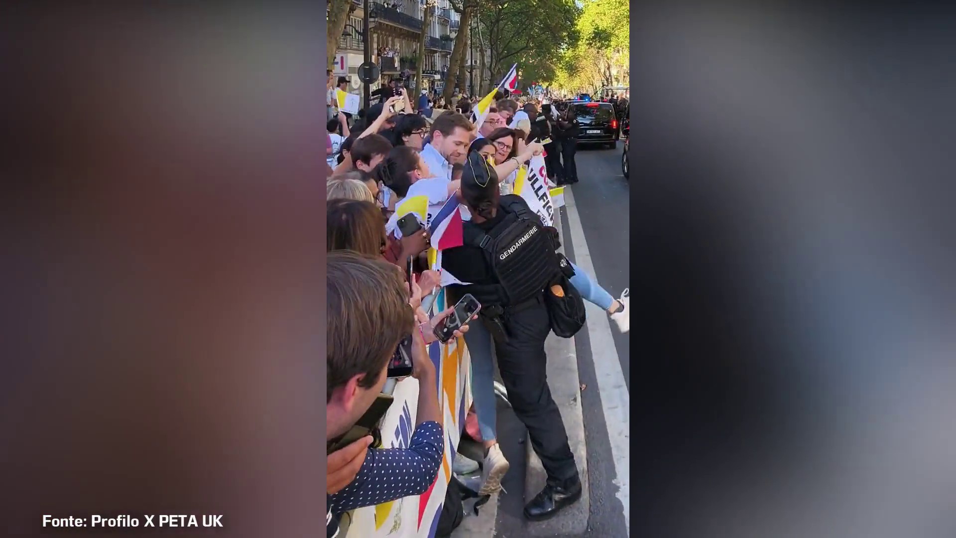 Papa a Parigi, attivisti PETA anti-corrida invadono percorso papamobile