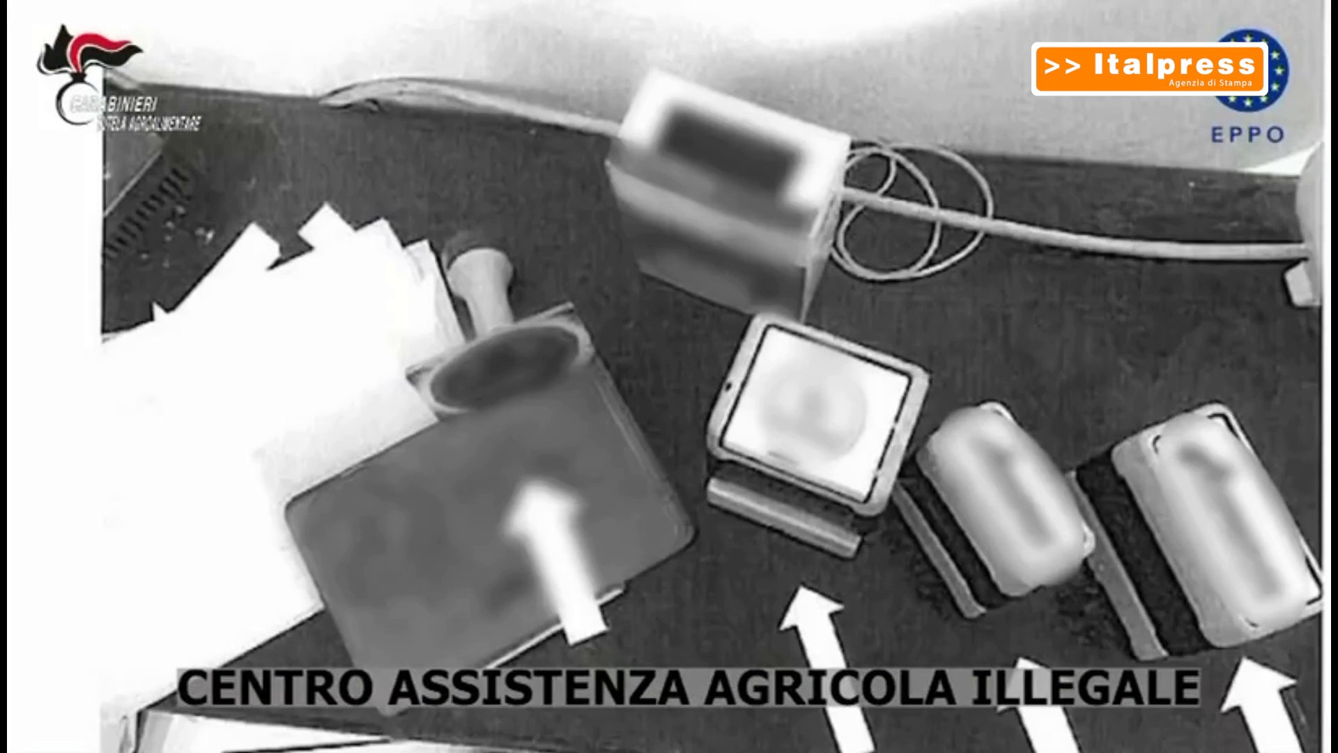 Truffa sui sussidi agricoli dell'Unione Europea in Sicilia,  11 misure cautelari