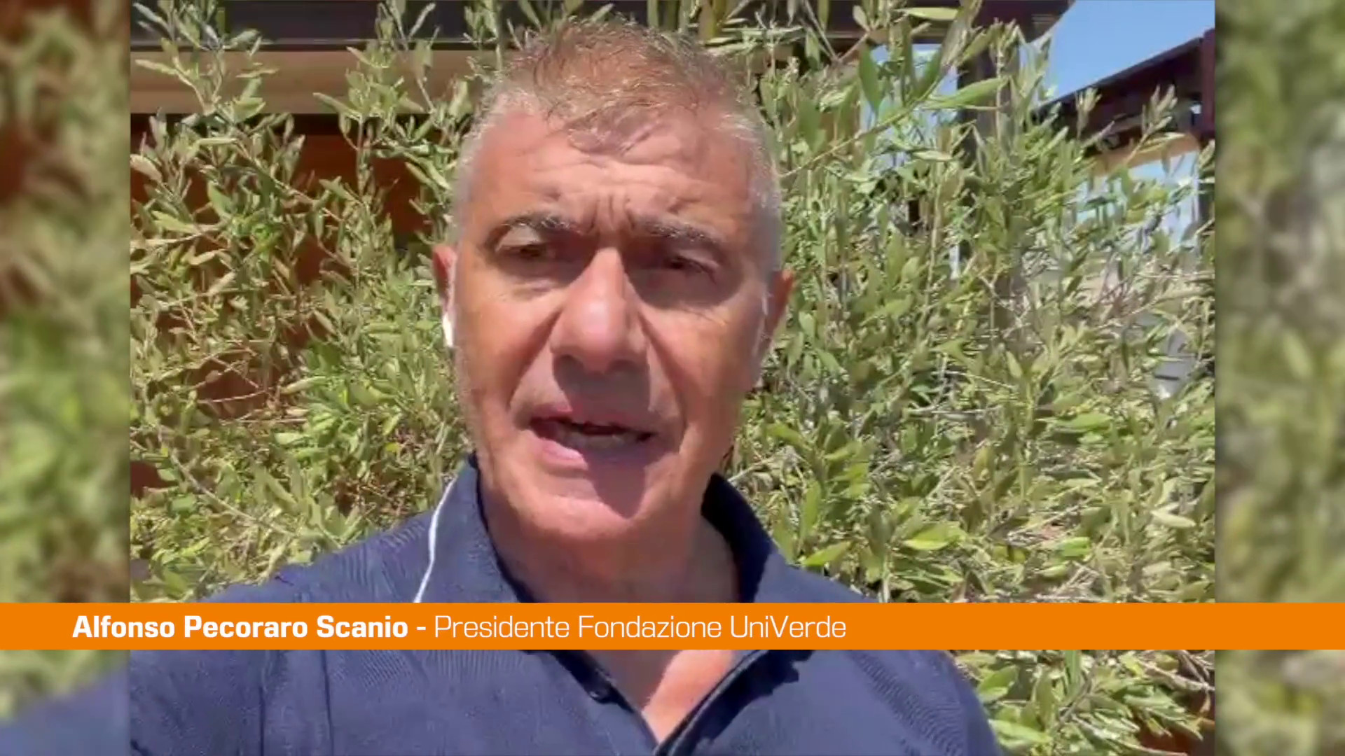Pecoraro Scanio 