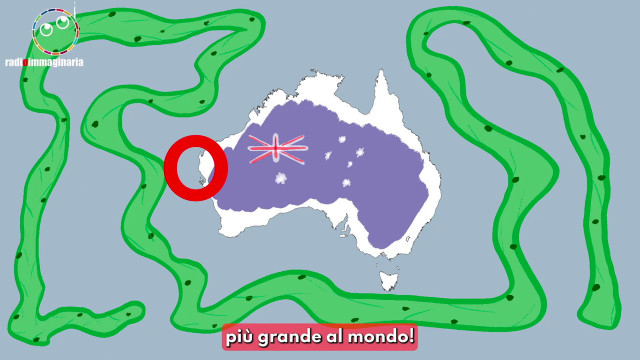 Australia, trovato l'organismo più grande del mondo