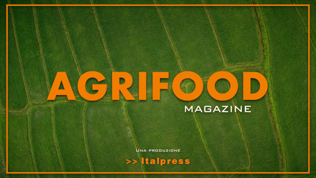 Agrifood Magazine - 22/9/2021