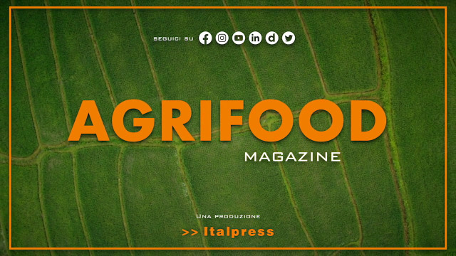 Agrifood Magazine - 21/09/2022