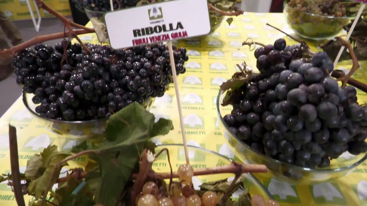 Veronafiere, al via Vinitaly Special Edition