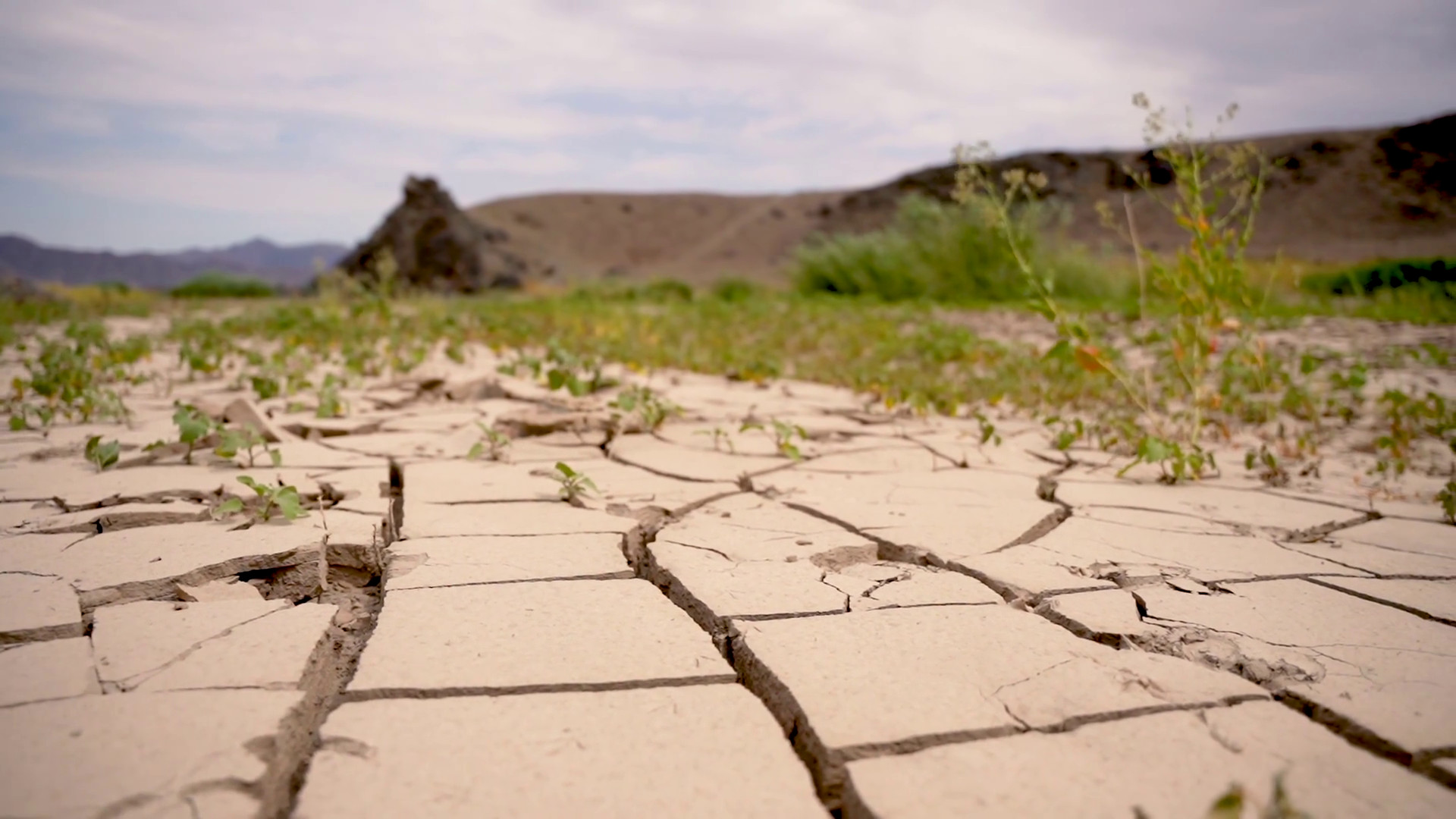 Clima, la siccità minaccia la produzione agricola mondiale
