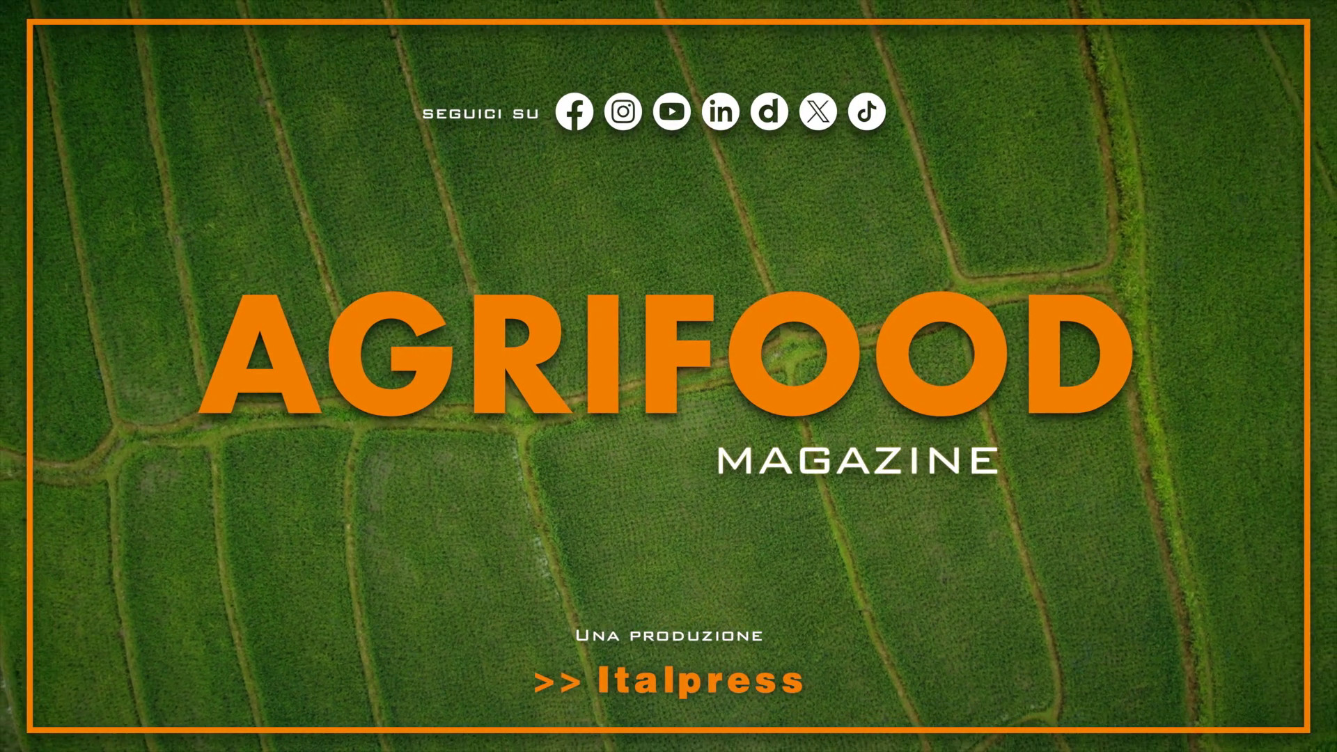 Agrifood Magazine - 17/6/2026