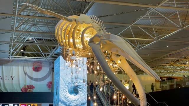 L'aeroporto di Fiumicino s'illumina con l'opera