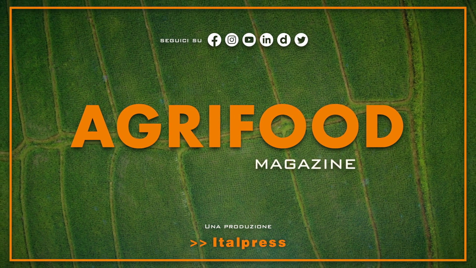 Agrifood Magazine - 12/7/2023