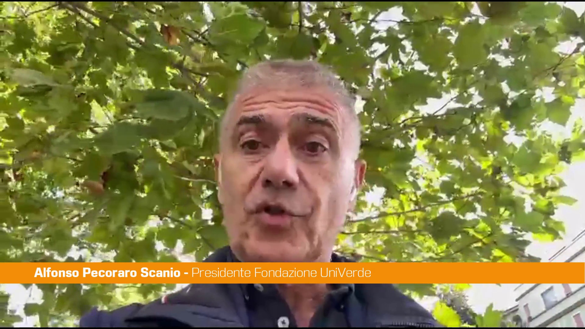 Pecoraro Scanio 