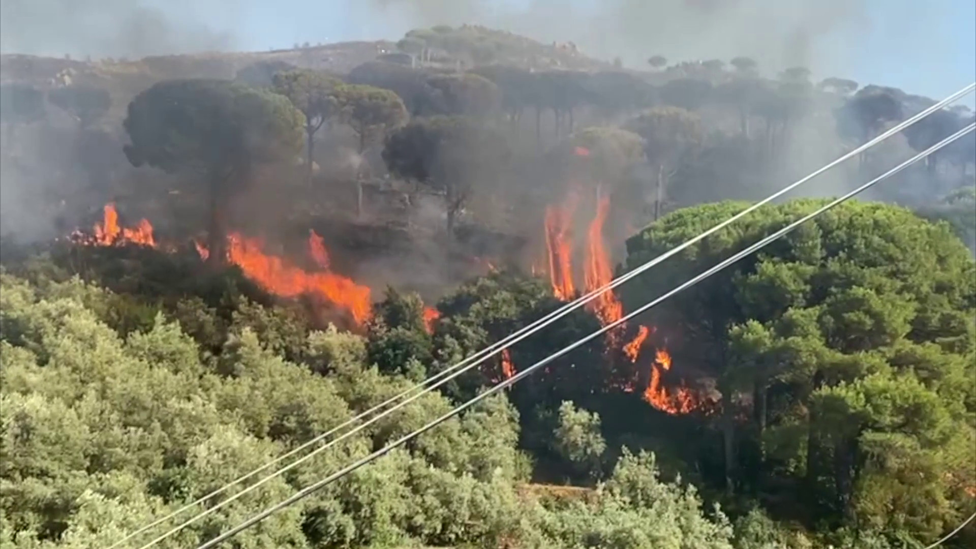 Incendi nel palermitano, le immagini dle rogo a Monreale