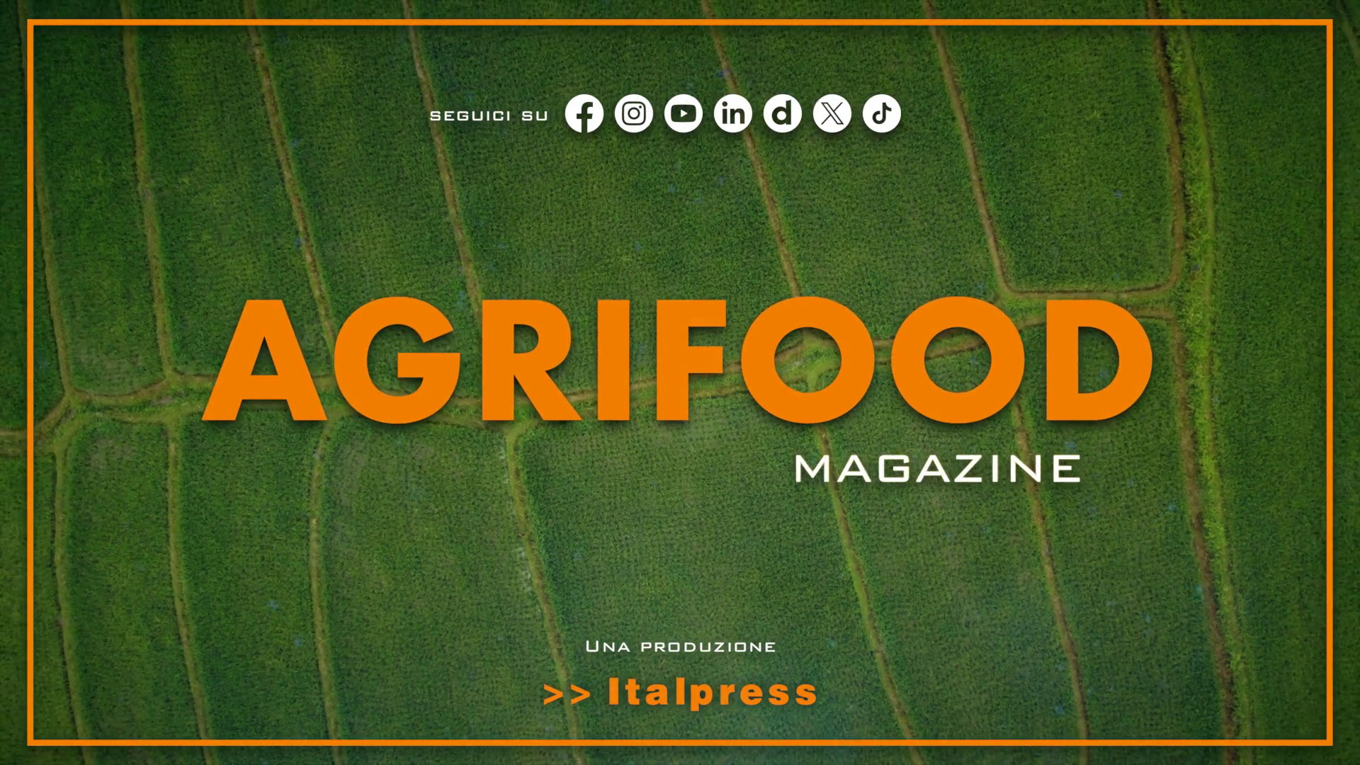 Agrifood Magazine - 10/7/2024