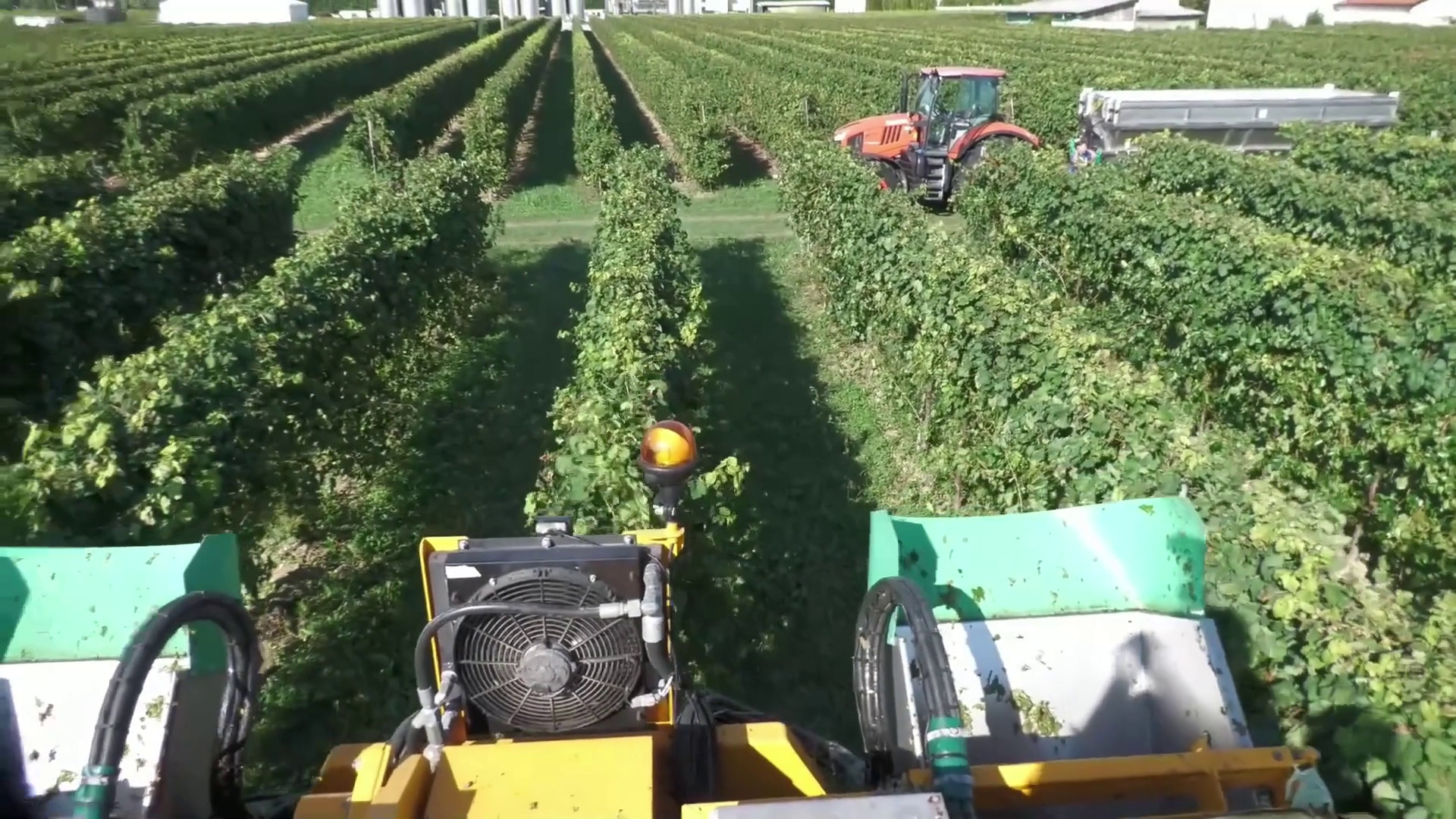 Coltivaitalia, nuove risorse per l'agricoltura