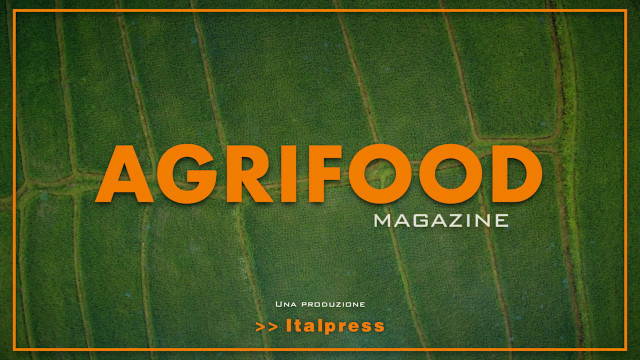 Agrifood Magazine - 22/12/2021