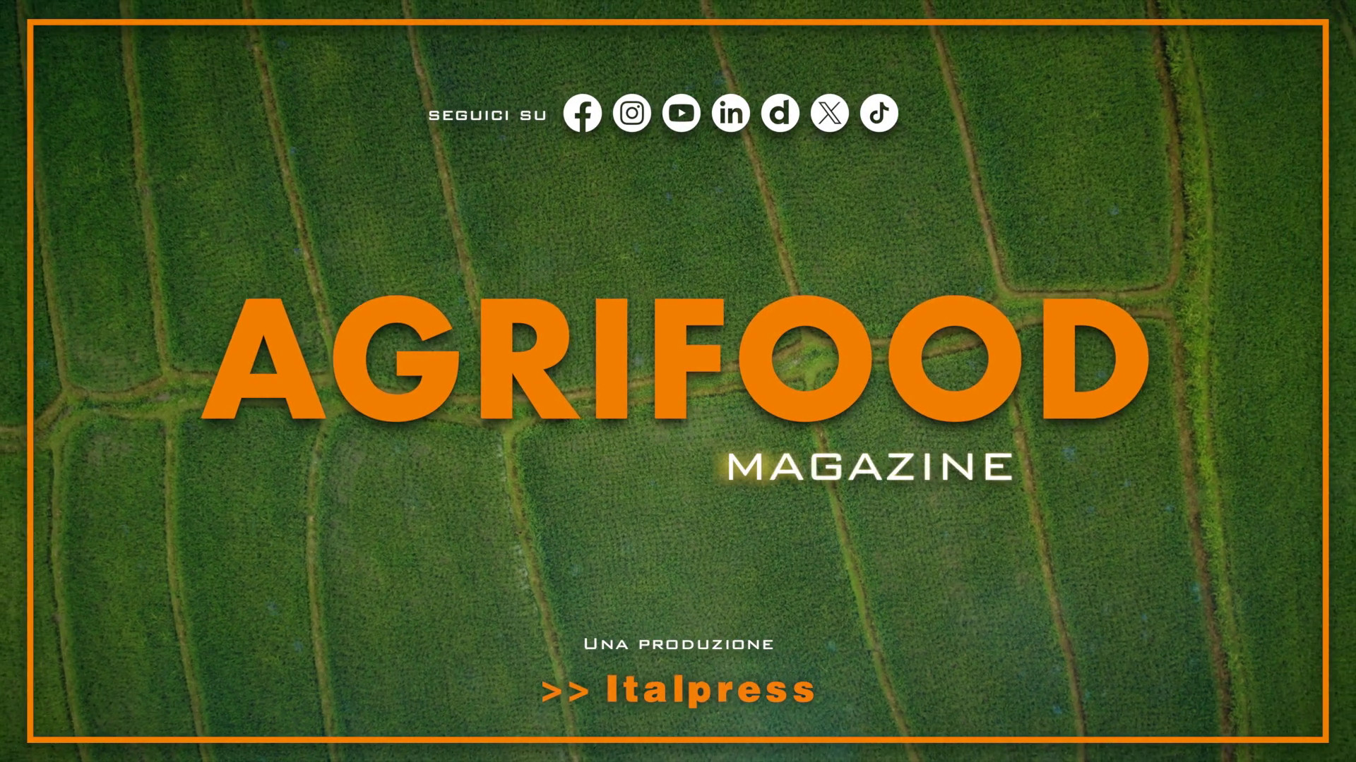 Agrifood Magazine - 29/7/2026
