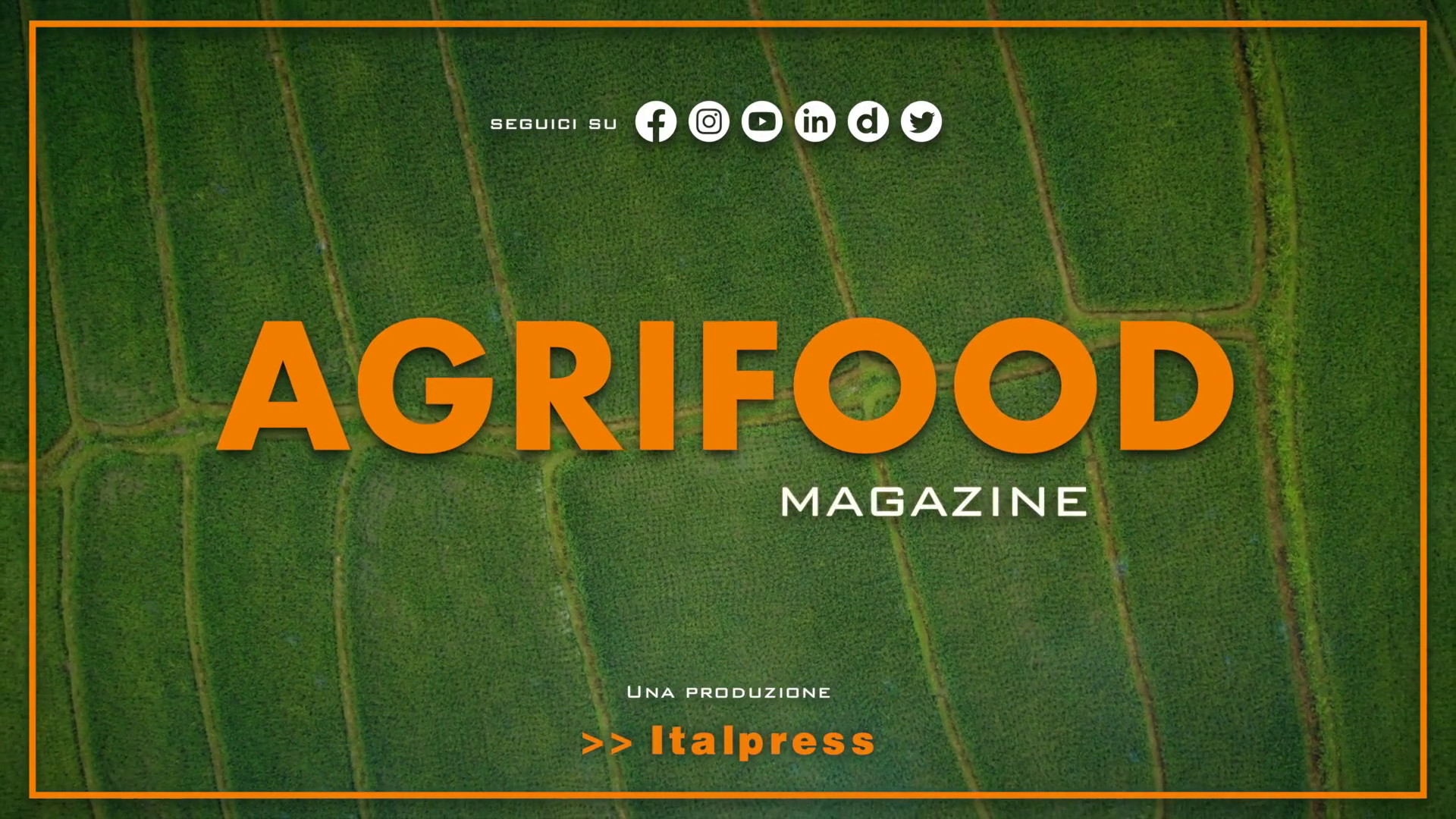 Agrifood Magazine - 20/12/2023