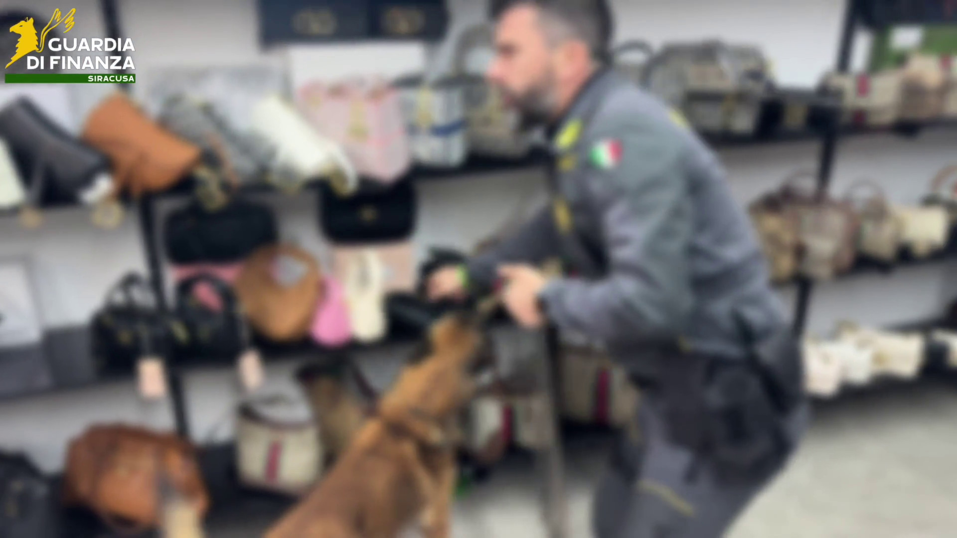 Smantellato un giro di falsi di lusso per due milioni nel siracusano